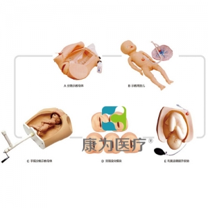 “康為醫(yī)療”高級腹部觸診、分娩機(jī)轉(zhuǎn)綜合模型