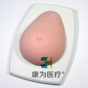 “康為醫(yī)療”高級乳腺檢查訓練模型