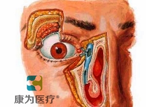 “康為醫(yī)療”高級鼻淚管通液訓練模型