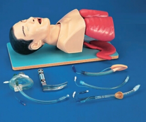 氣管插管模型(Airway Management Model)