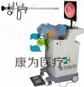 HYST SURGERY高端宮腔鏡手術模擬訓練系統