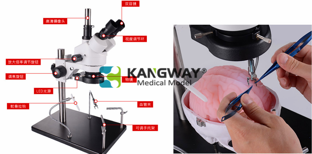 顱內神經(jīng)外科手術介入模擬器
